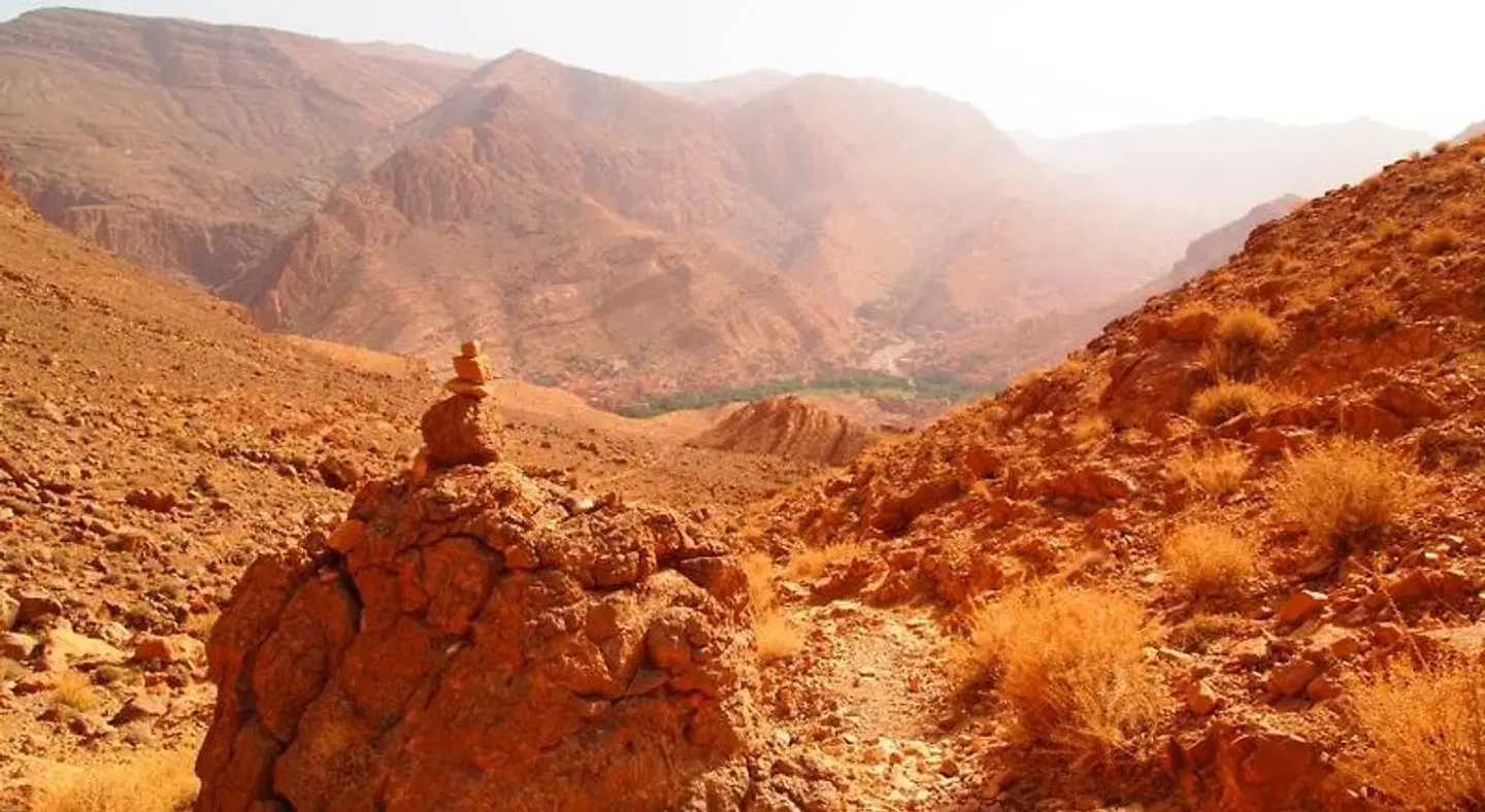 Riad Al Anwar LANDSCAPE