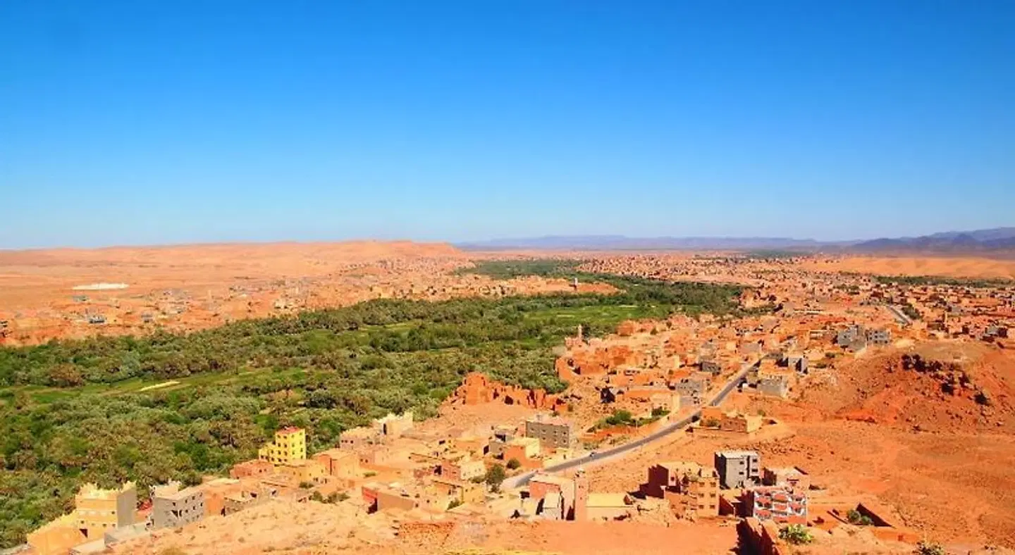 Riad Al Anwar LANDSCAPE