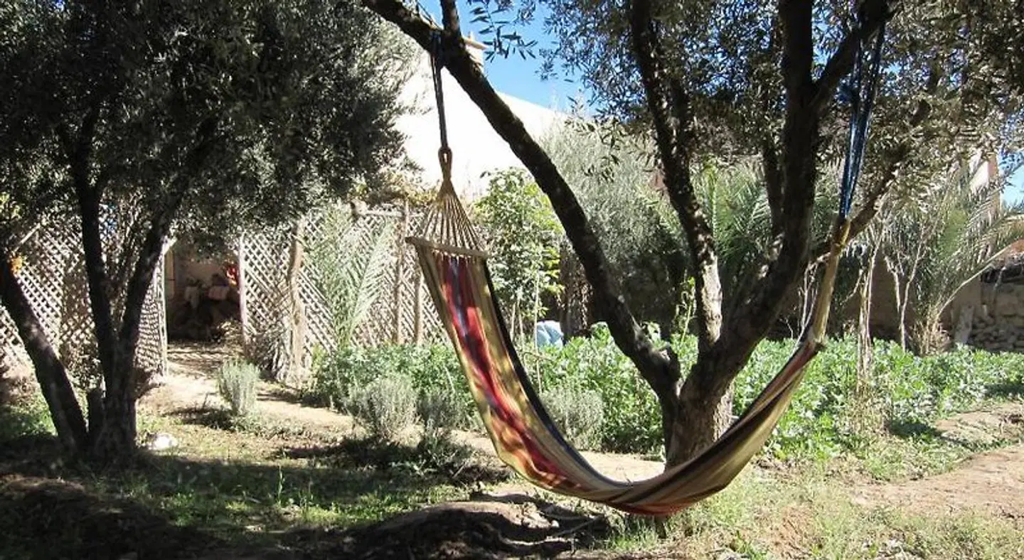Gîte Kasbah La palmeraie LANDSCAPE
