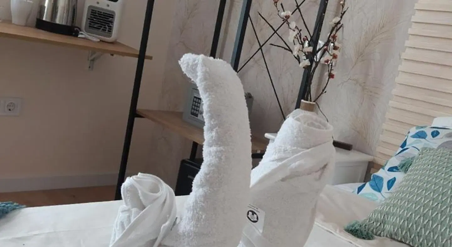 Habitaciones Universal Tiere