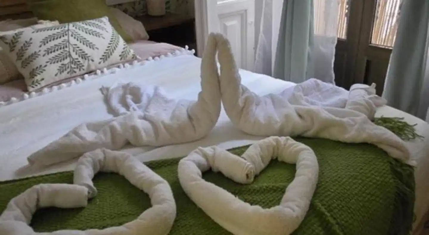 Habitaciones Universal Wellness