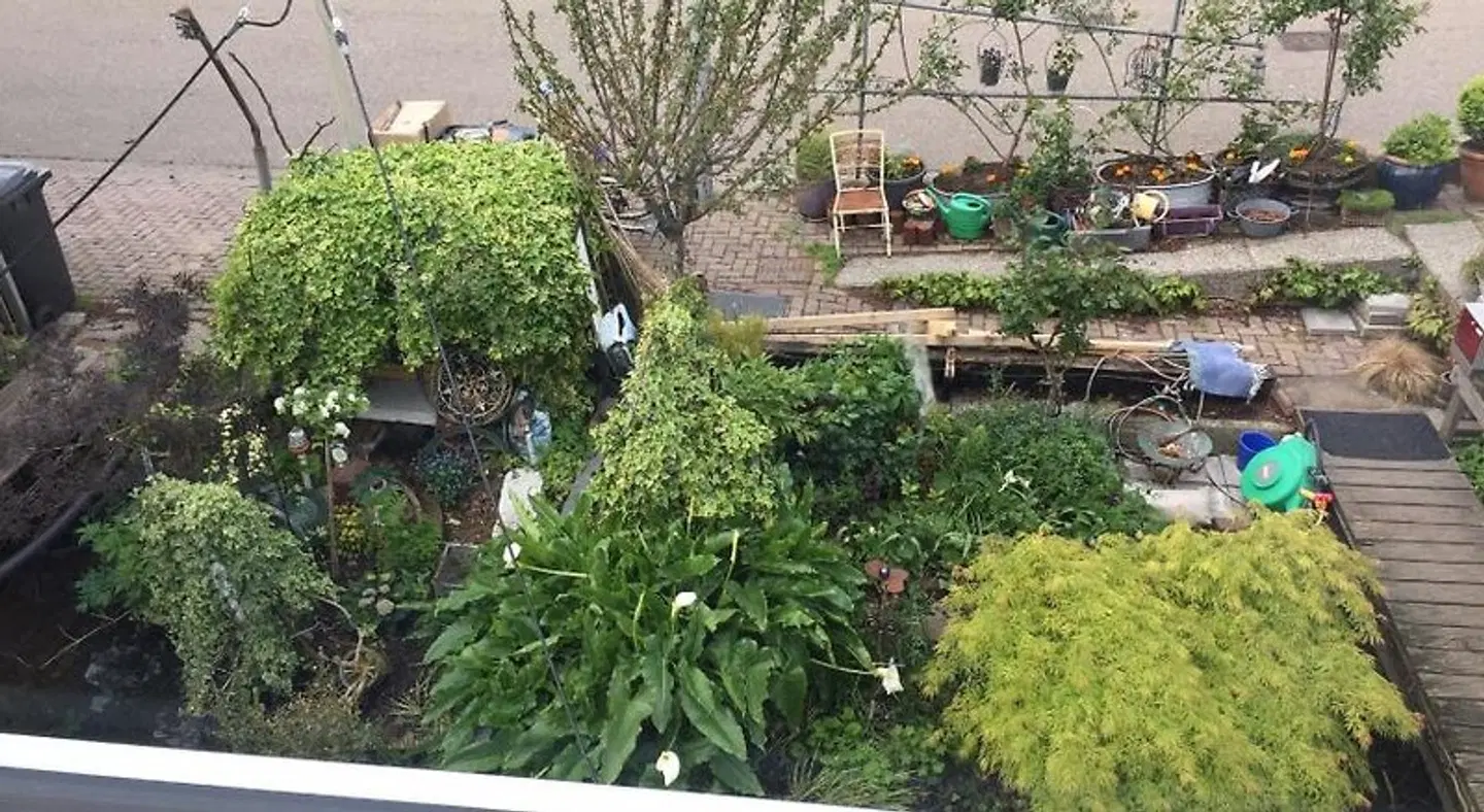 Reiwa Garten