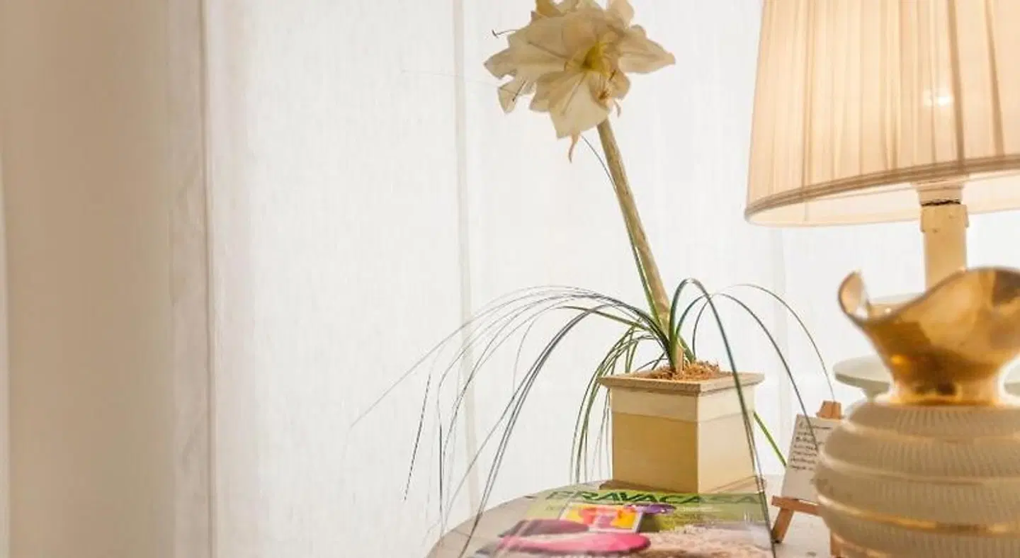 Babbo Bed and Breakfast ROOM_EXAMPLE