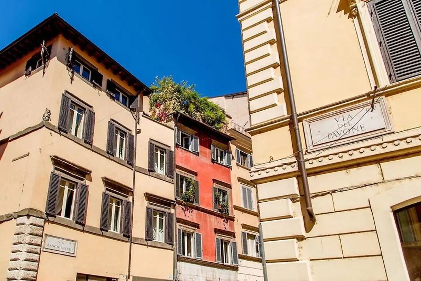 Palazzo Medusa EXTERIOR