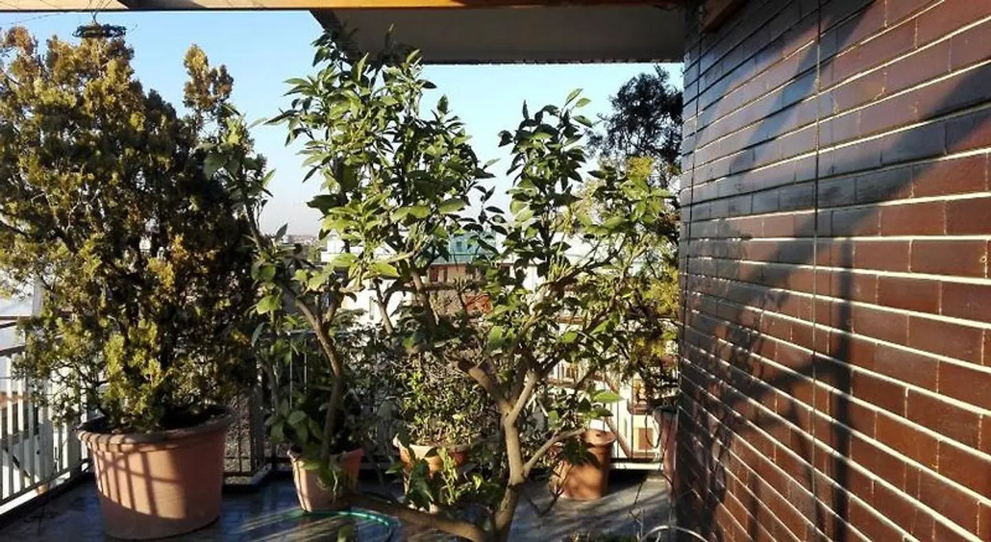 Mita Milano Rooms with Terrace Terrasse