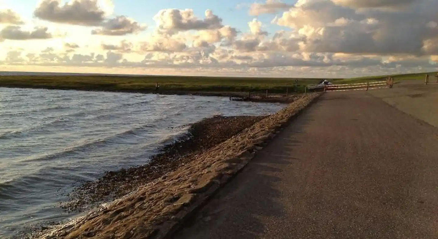 Die Krabbe von Greetsiel Strand