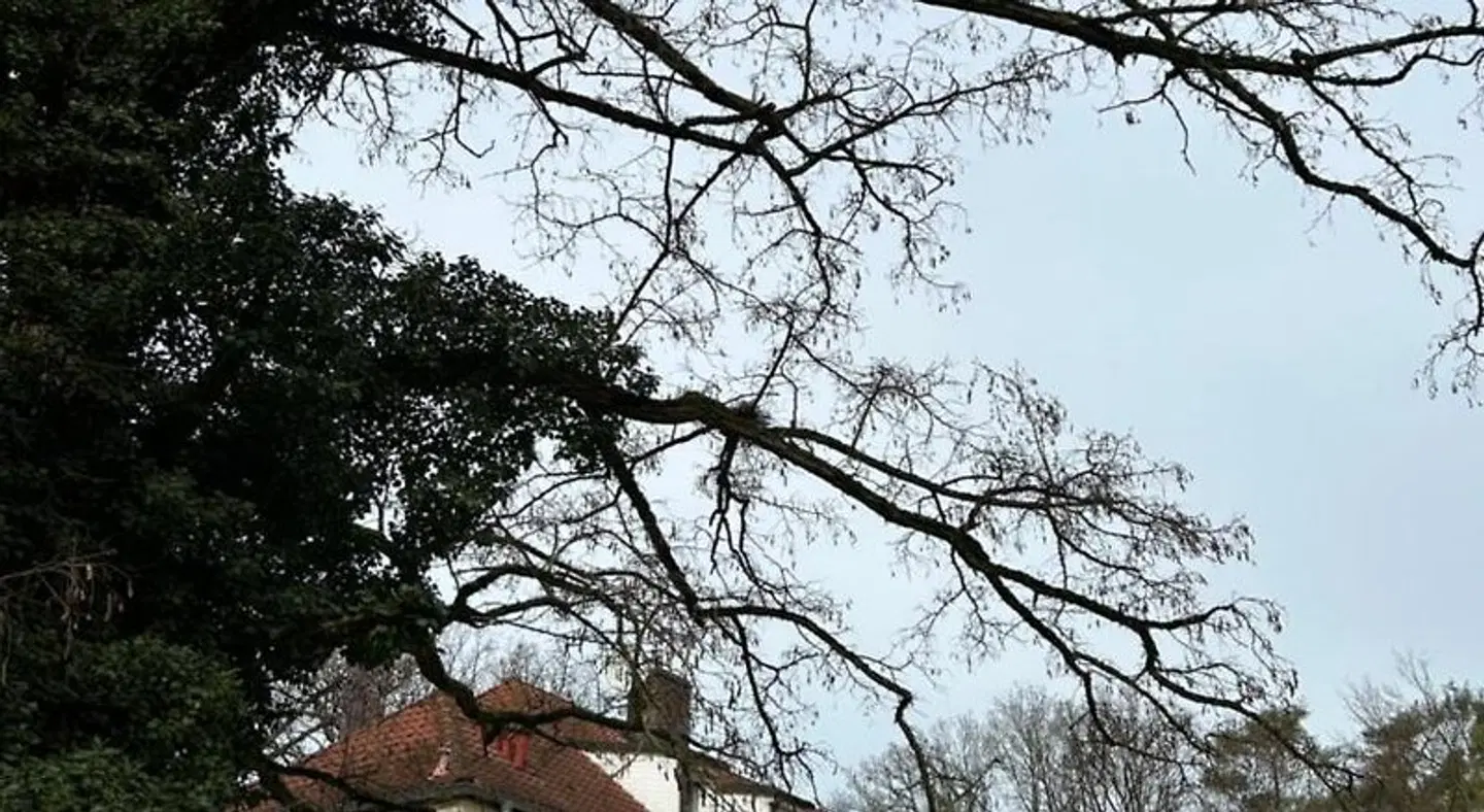 Lesny Dom LANDSCAPE