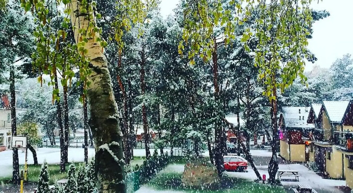 Pelikan Resort Garten