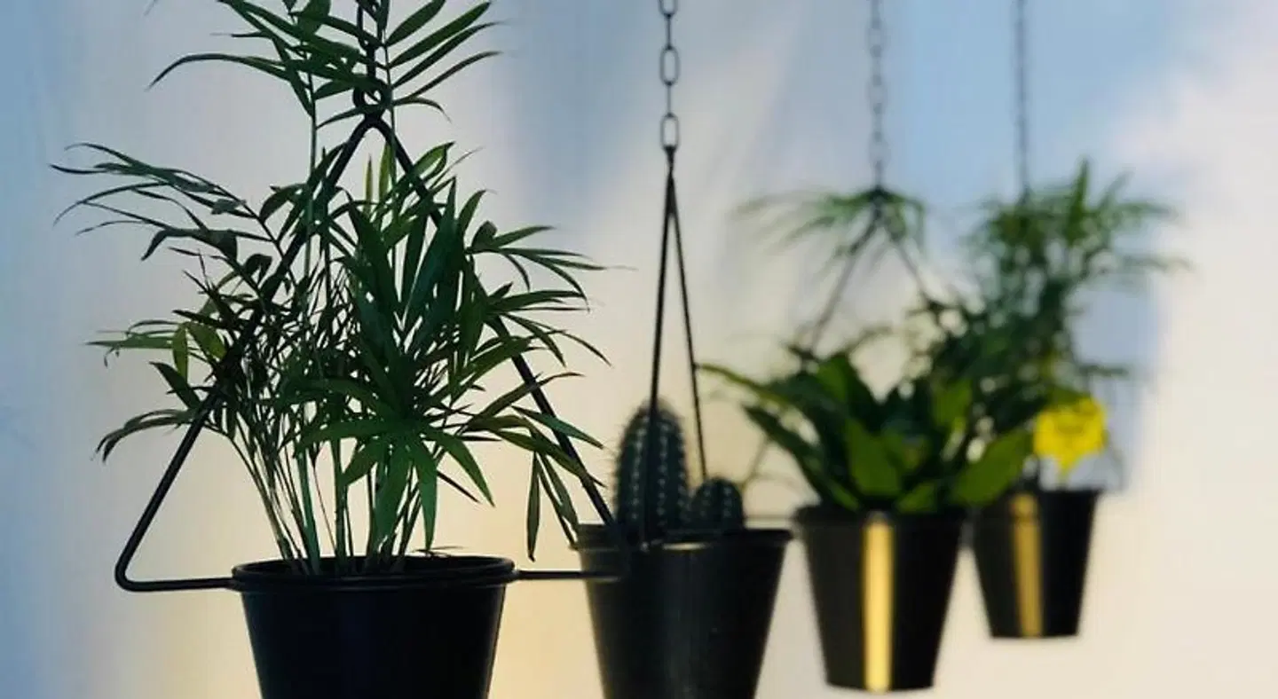 Boreal Porto Gaia - Patio & Pool LANDSCAPE