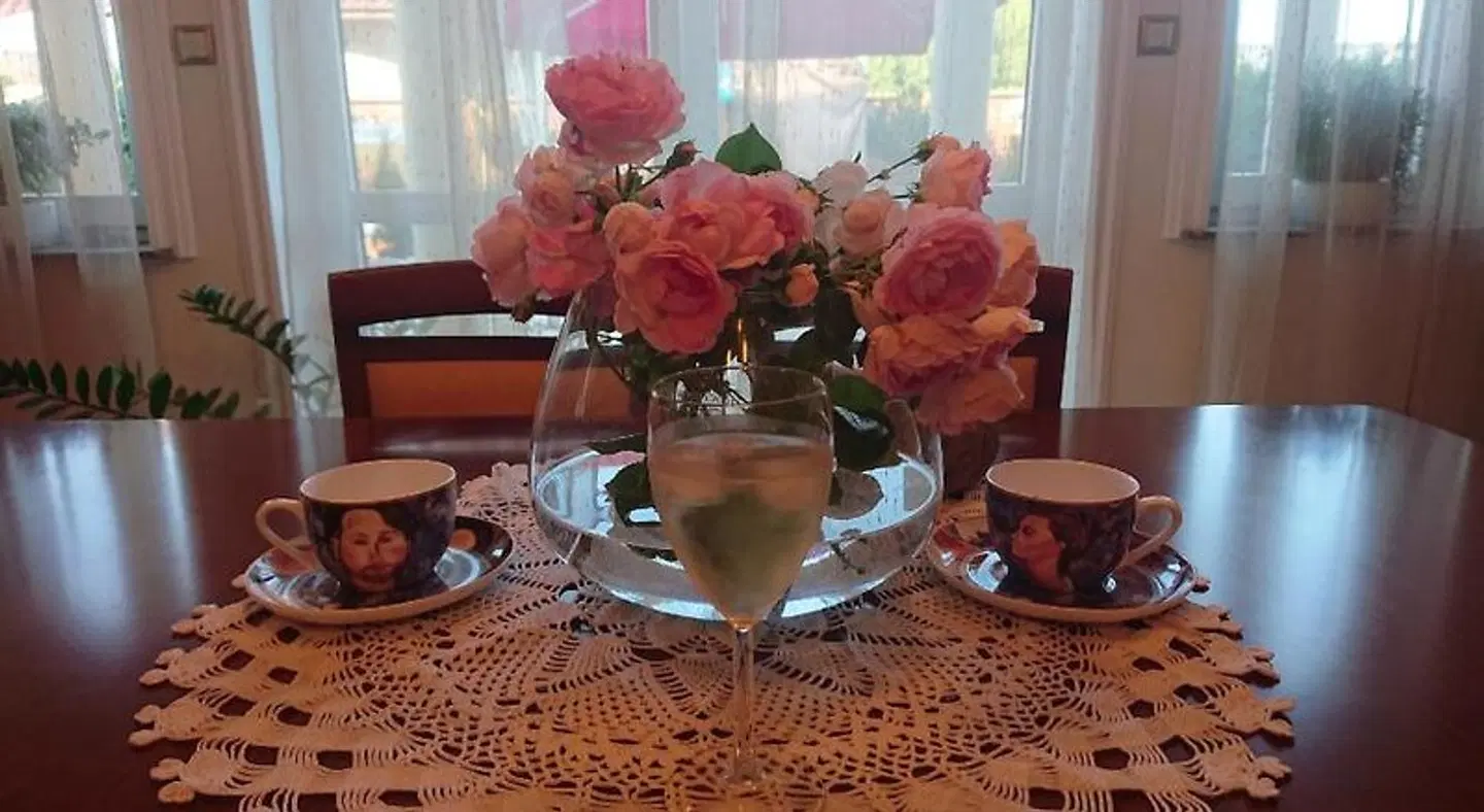 Letnia willa Jacuzzi & Sauna ROOM_EXAMPLE