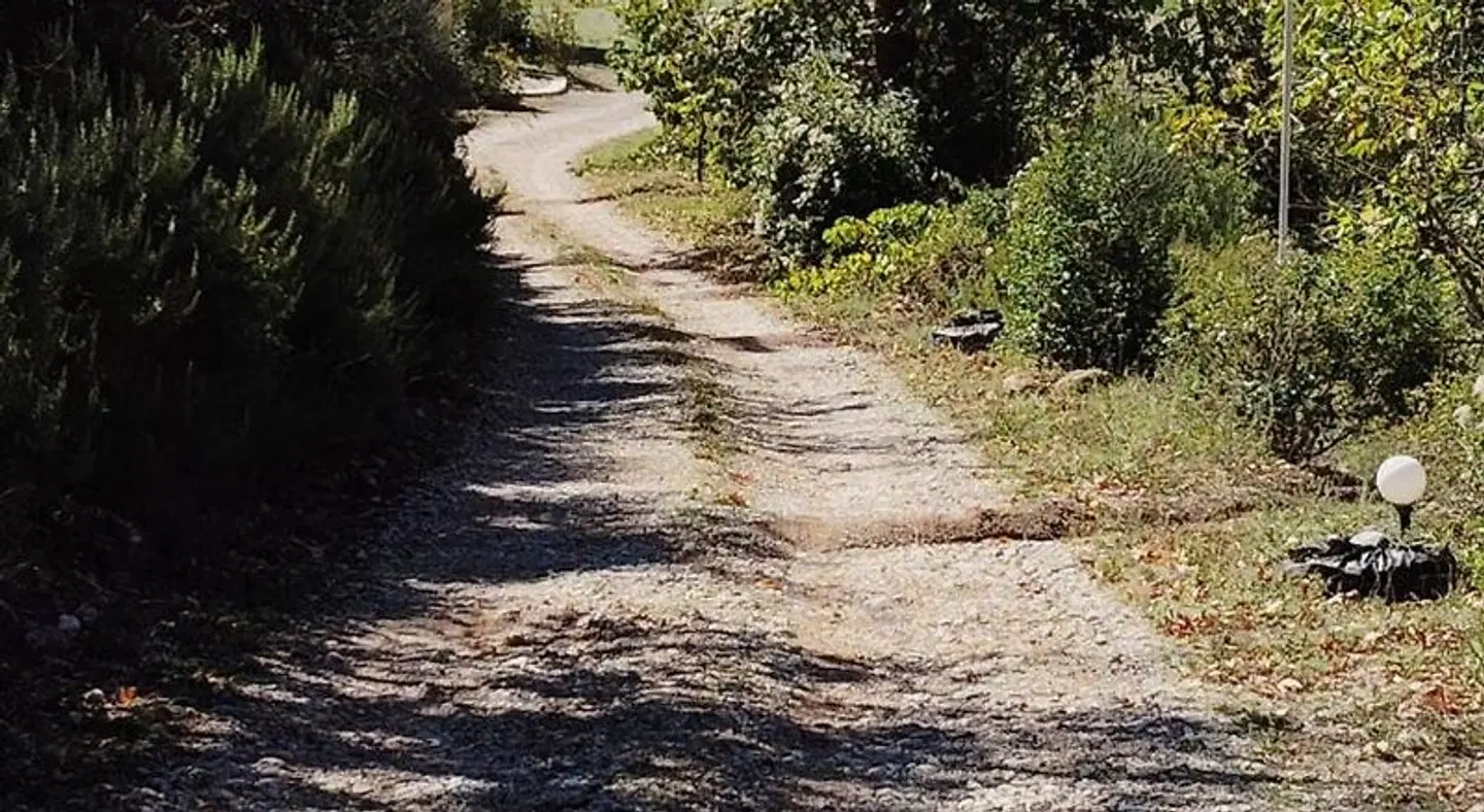 Guesthouse Eleftherios LANDSCAPE