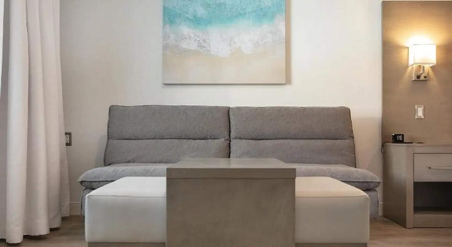 Plante ROOM_EXAMPLE