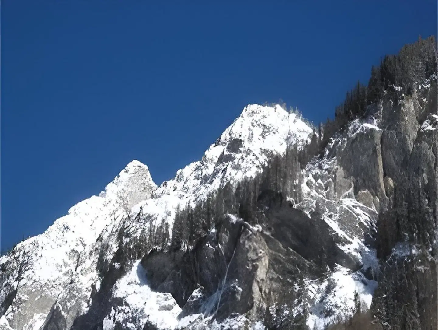 Landhotel Postgut Tiere