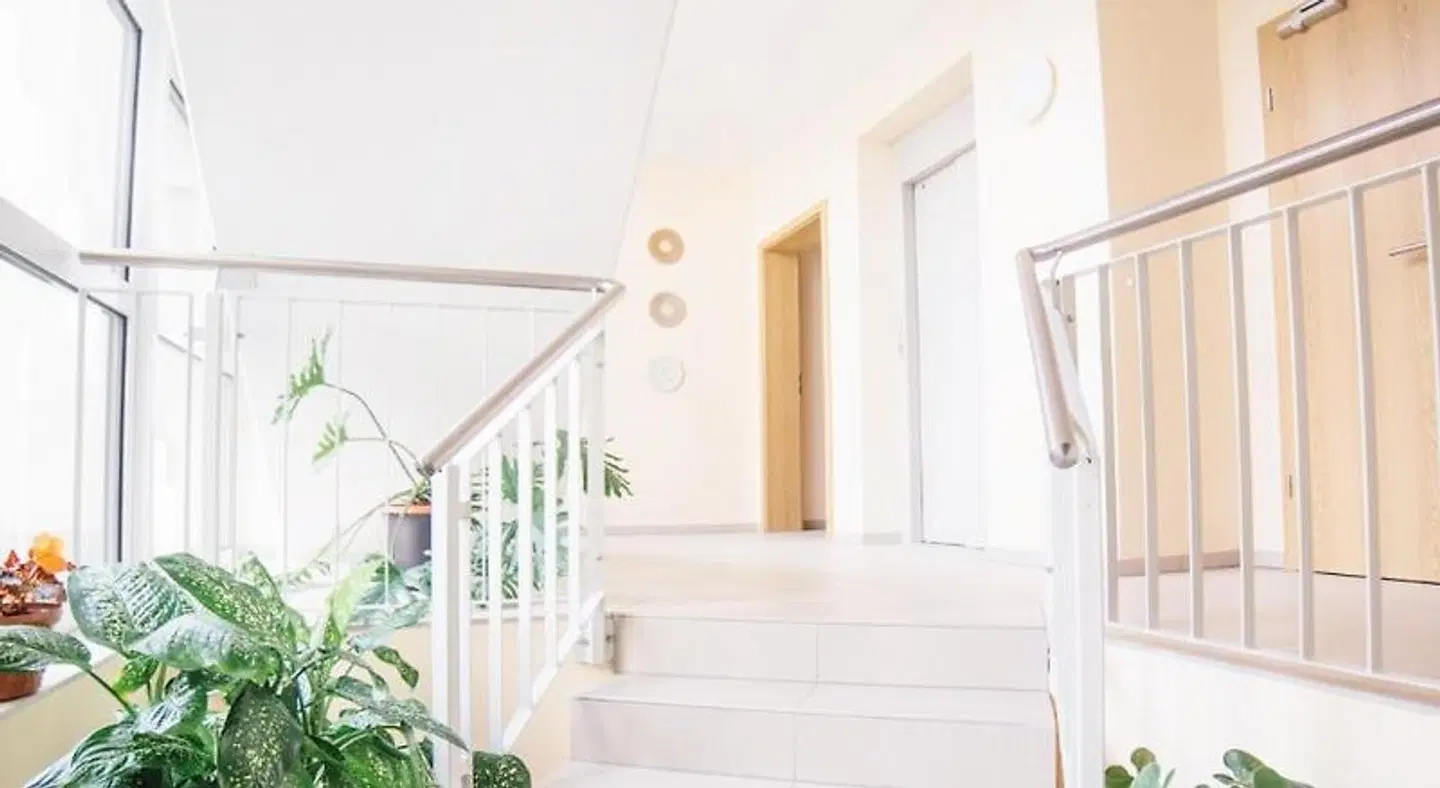 Vesta MODEL_IMPRESSION