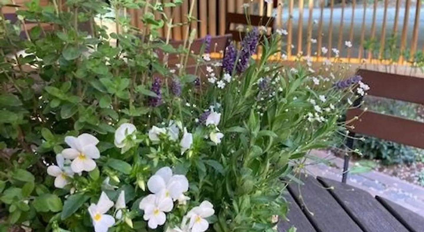 Agli Hotel Garten