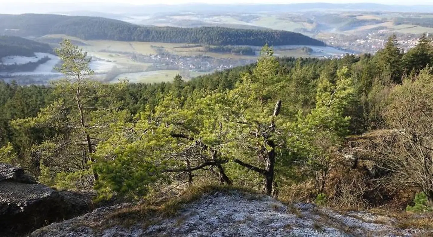 Café Landart im Thüringer Finistere LANDSCAPE