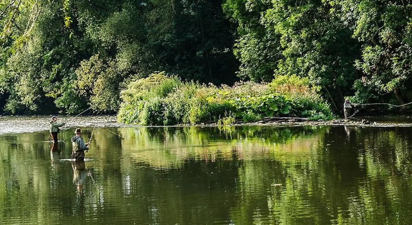 Pension Zur Grünen Eiche Garten