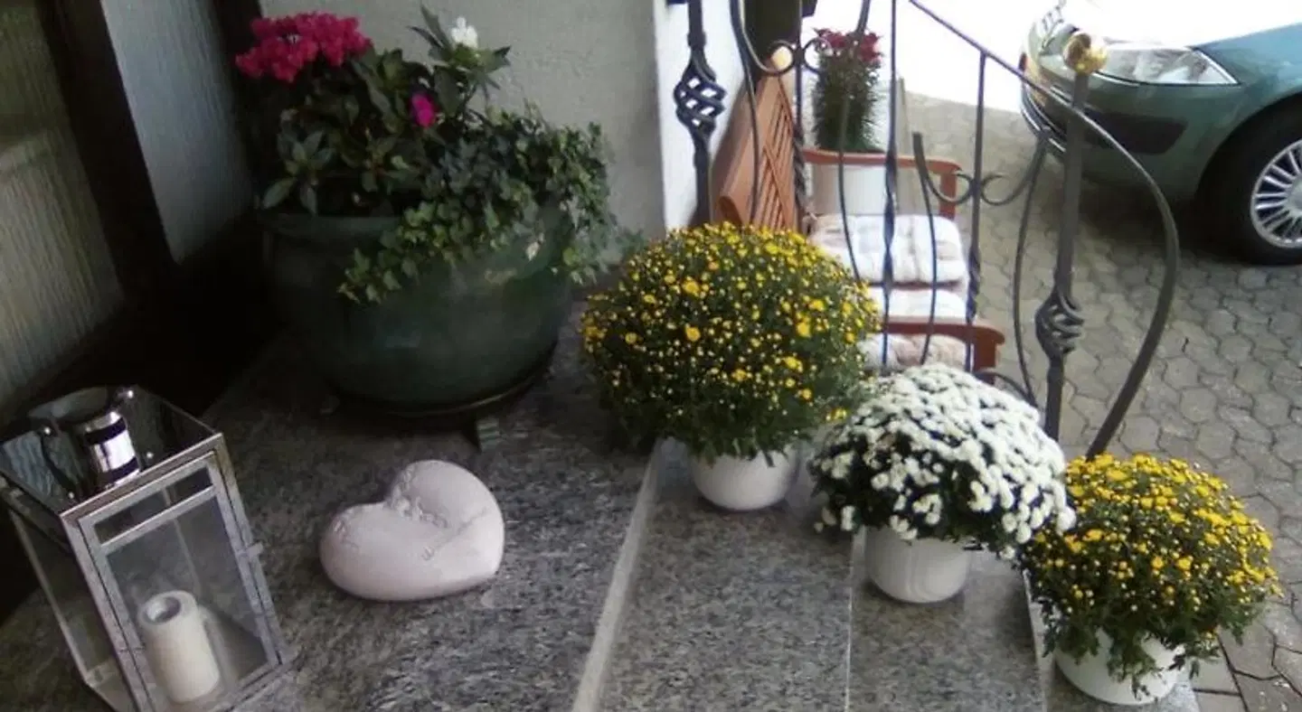 Haus Reitz Terrasse