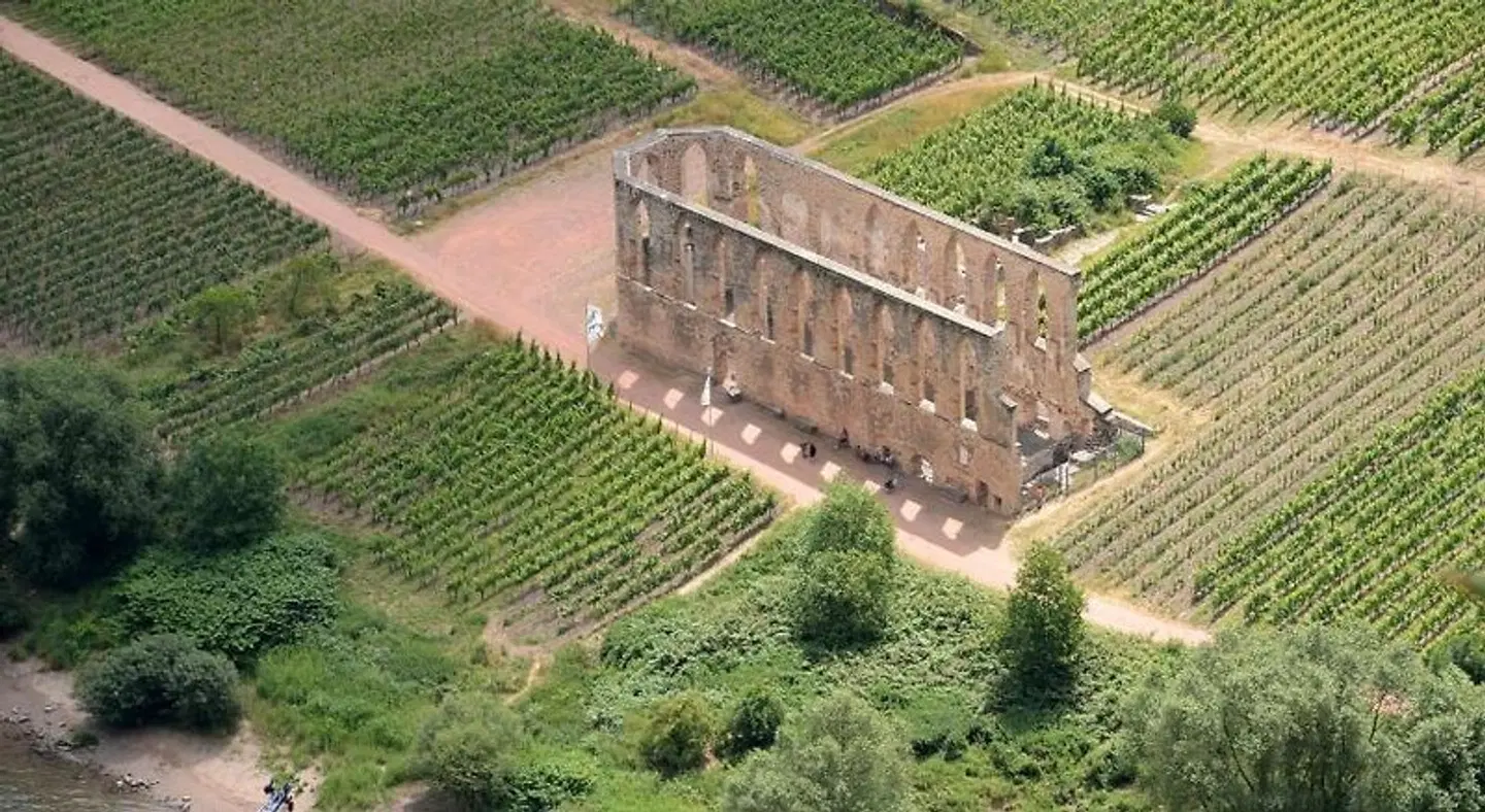 Brunnenhof - Weingut & Pension EXTERIOR