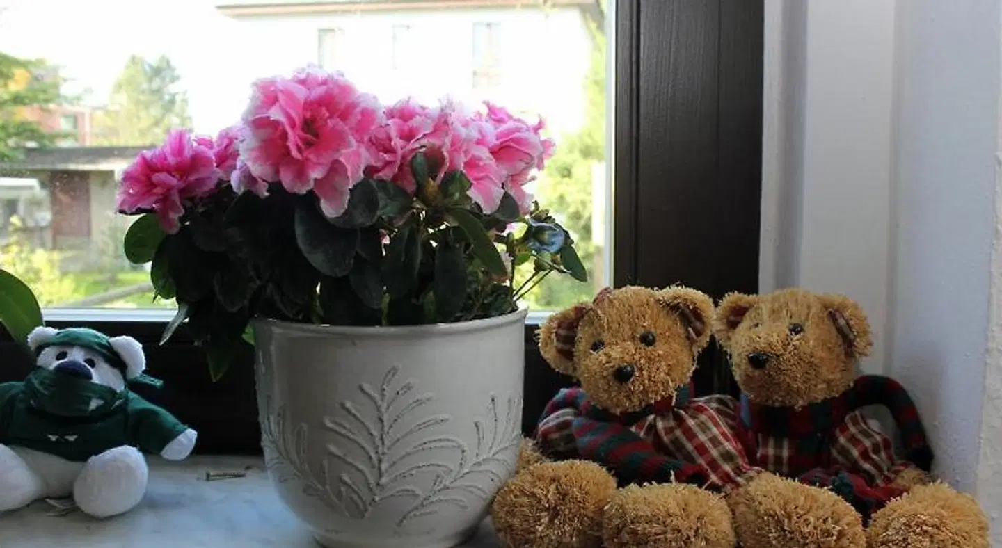 Vogtländer LOUNGE_LOBBY