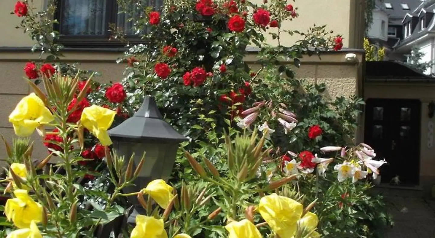 Vogtländer EXTERIOR