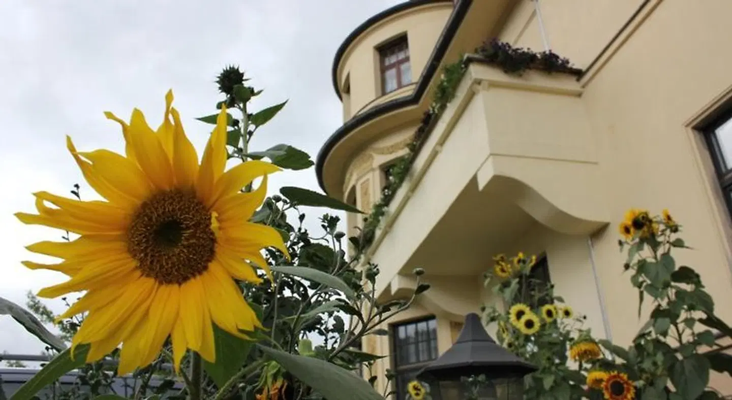 Vogtländer EXTERIOR