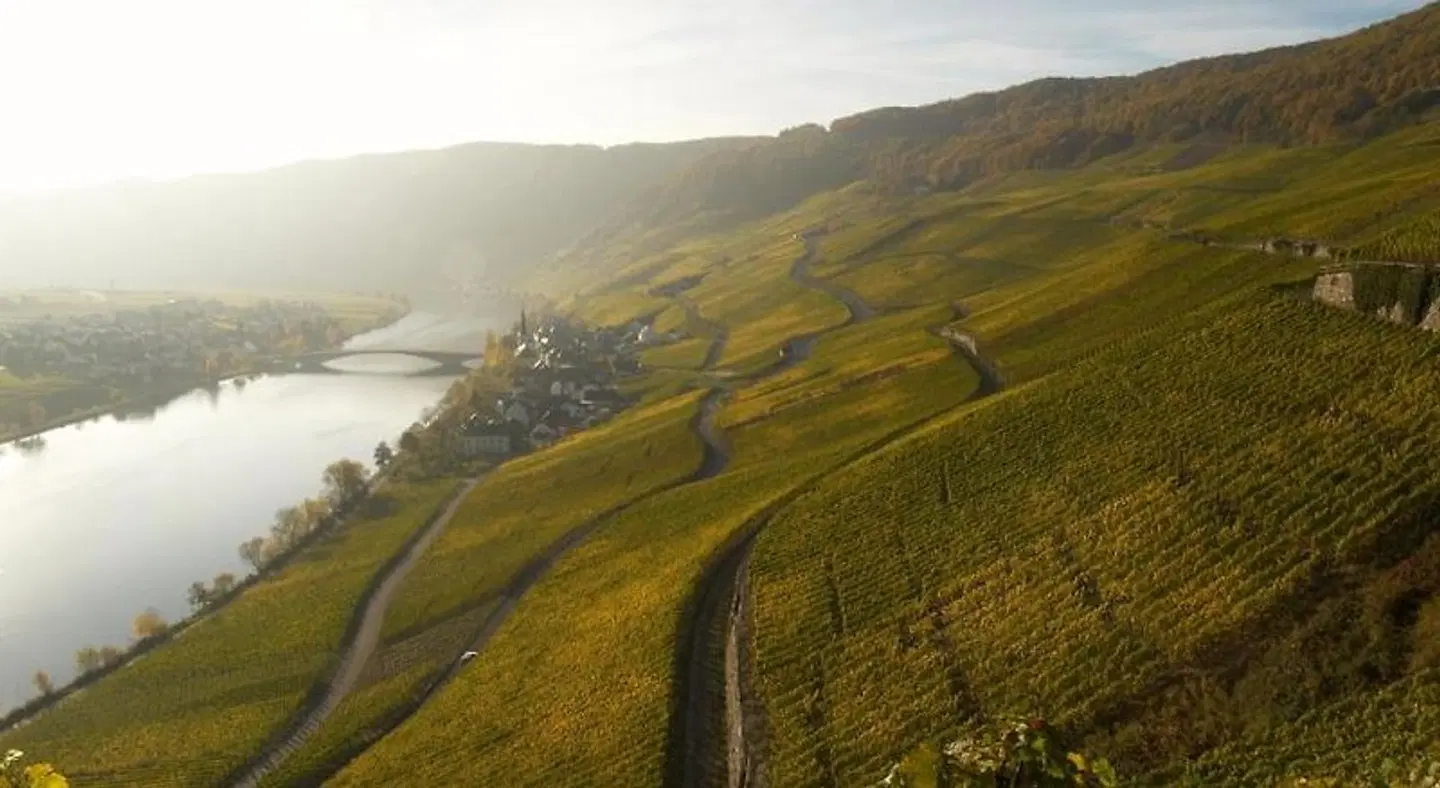 Piesporter Goldtröpfchen LANDSCAPE
