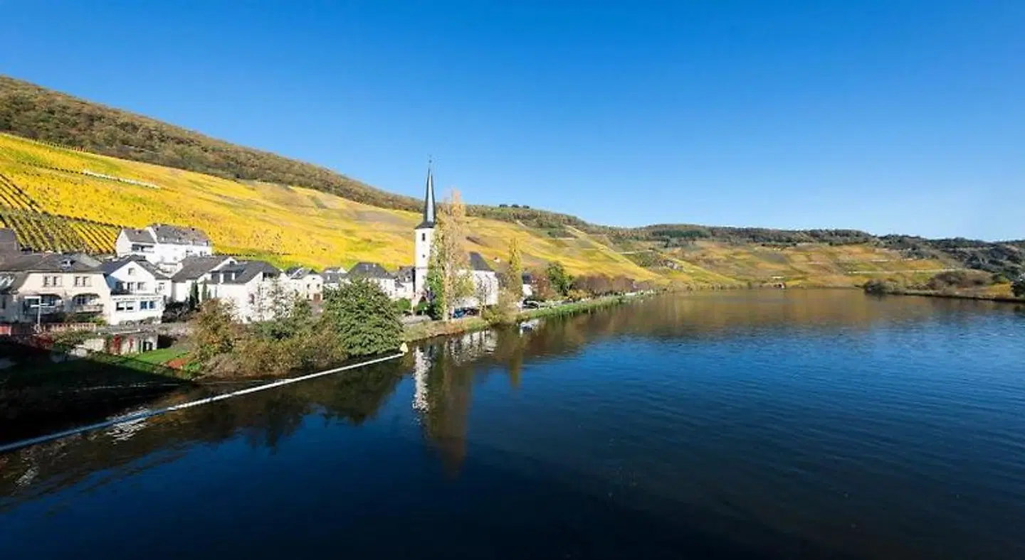 Piesporter Goldtröpfchen LANDSCAPE