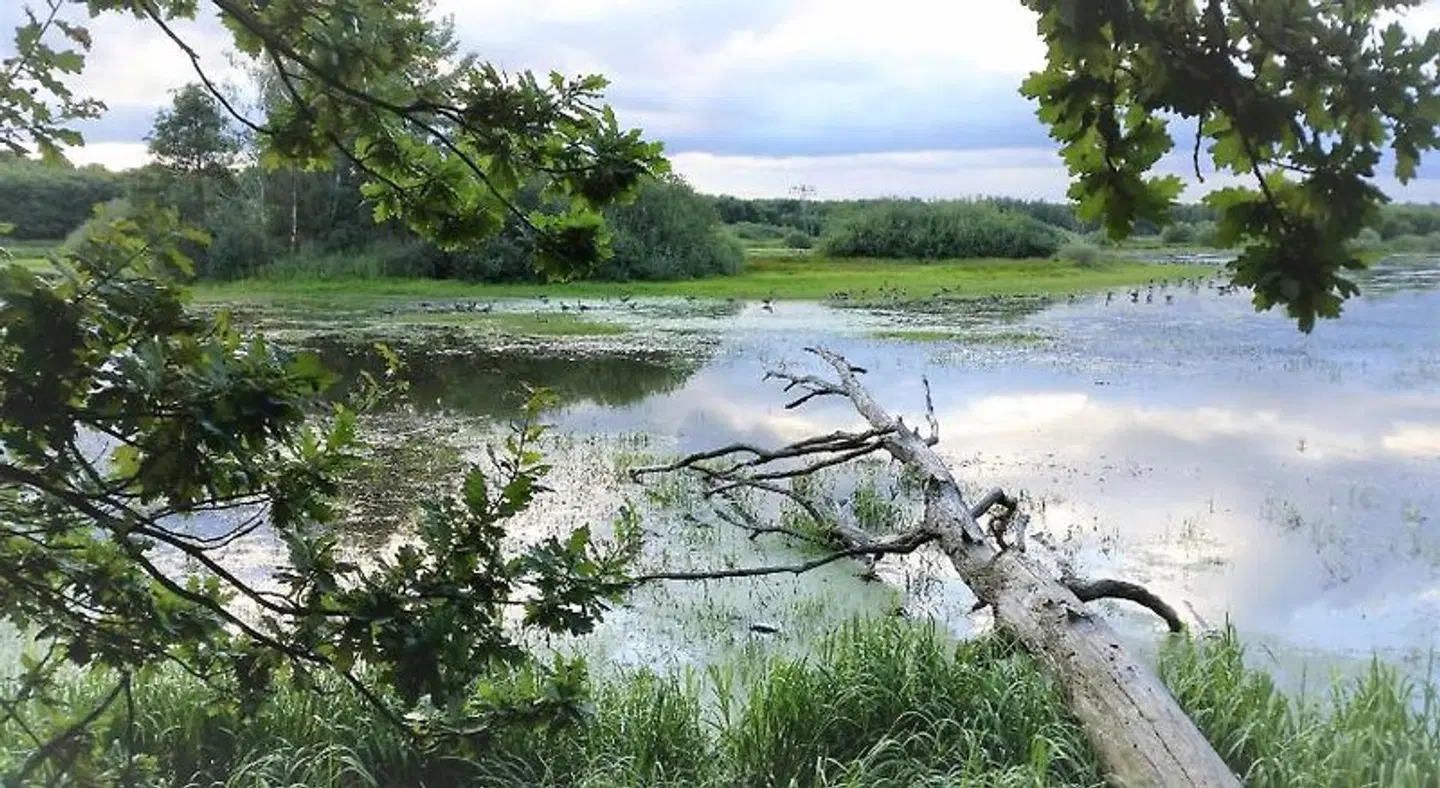 Pension Body Sun LANDSCAPE