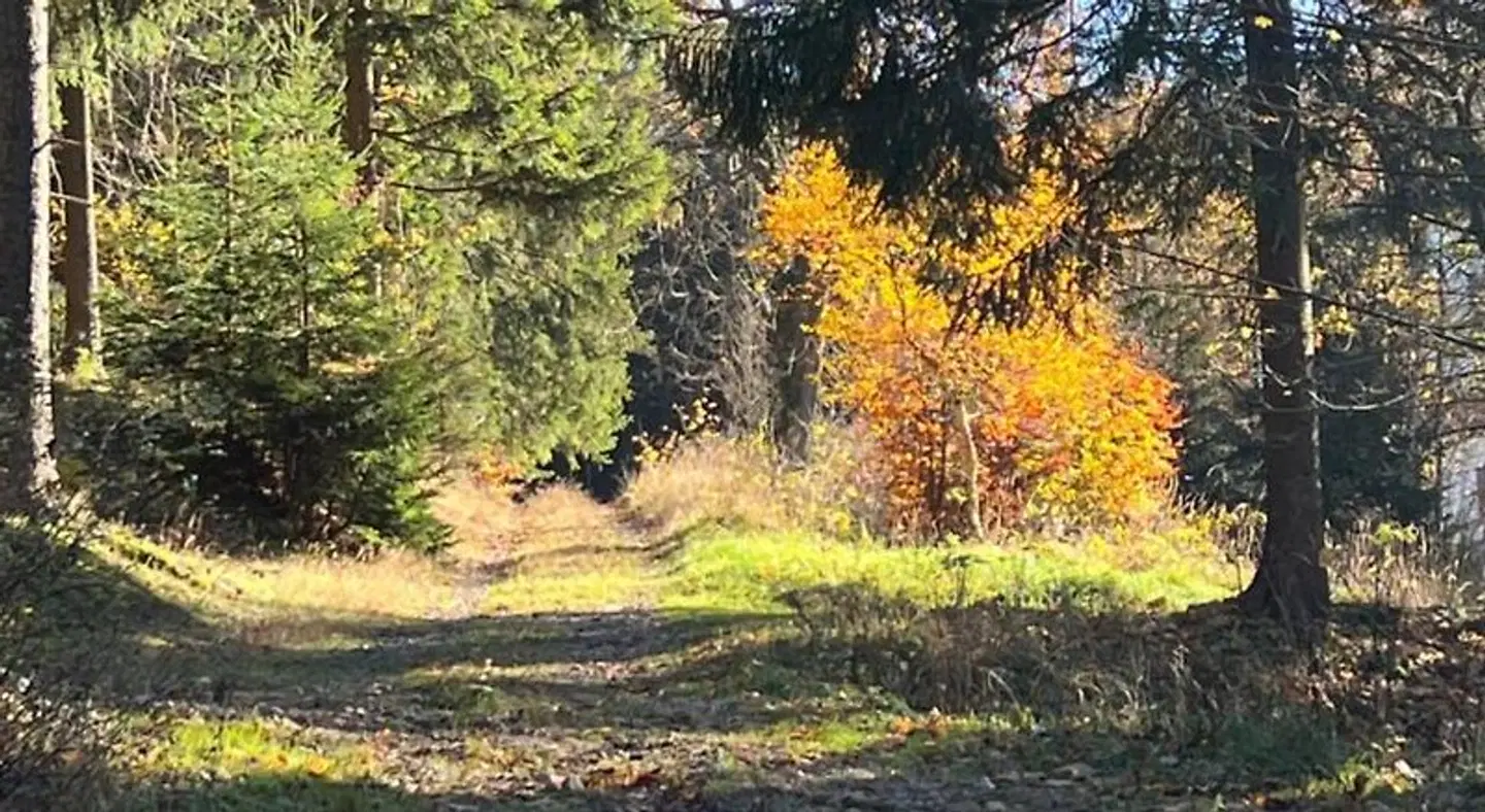 Pension Märchenland LANDSCAPE