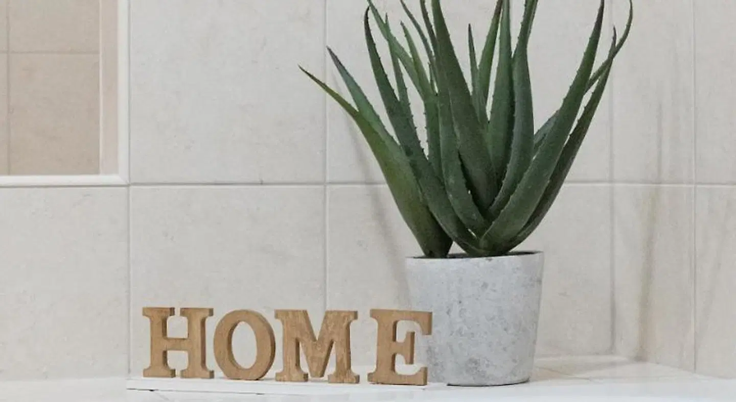 Sonnenhang LOUNGE_LOBBY