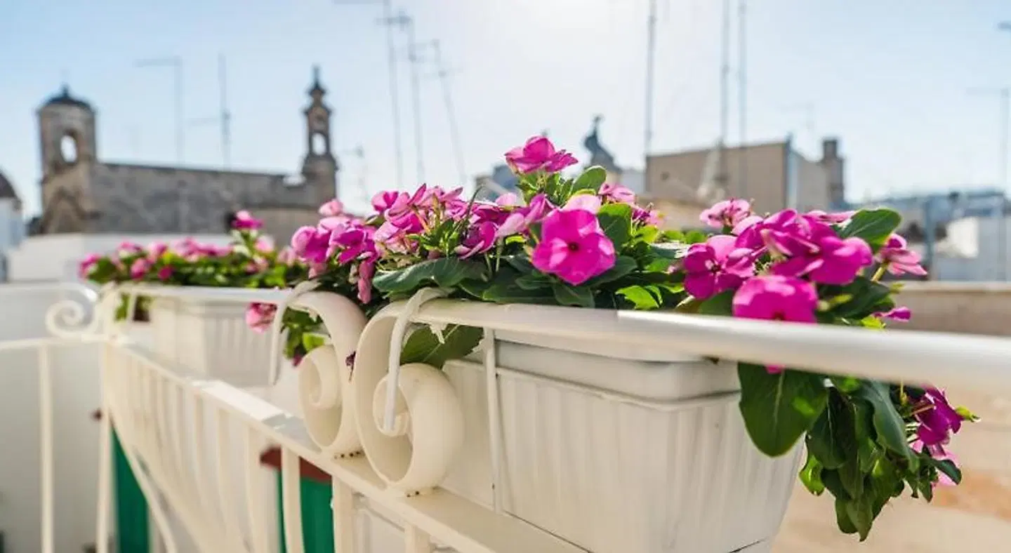 Dimora Maio Terrasse