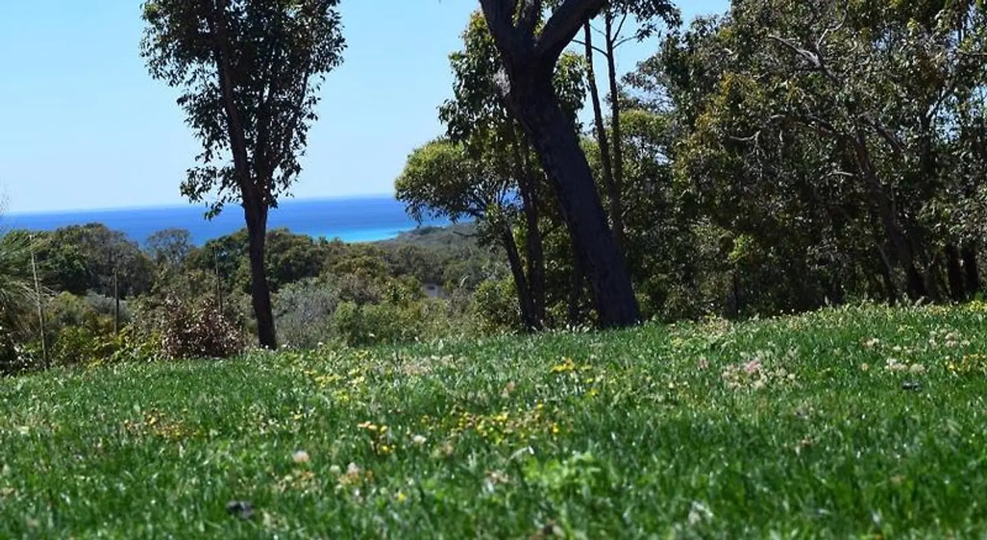 Eagle Bay House LANDSCAPE