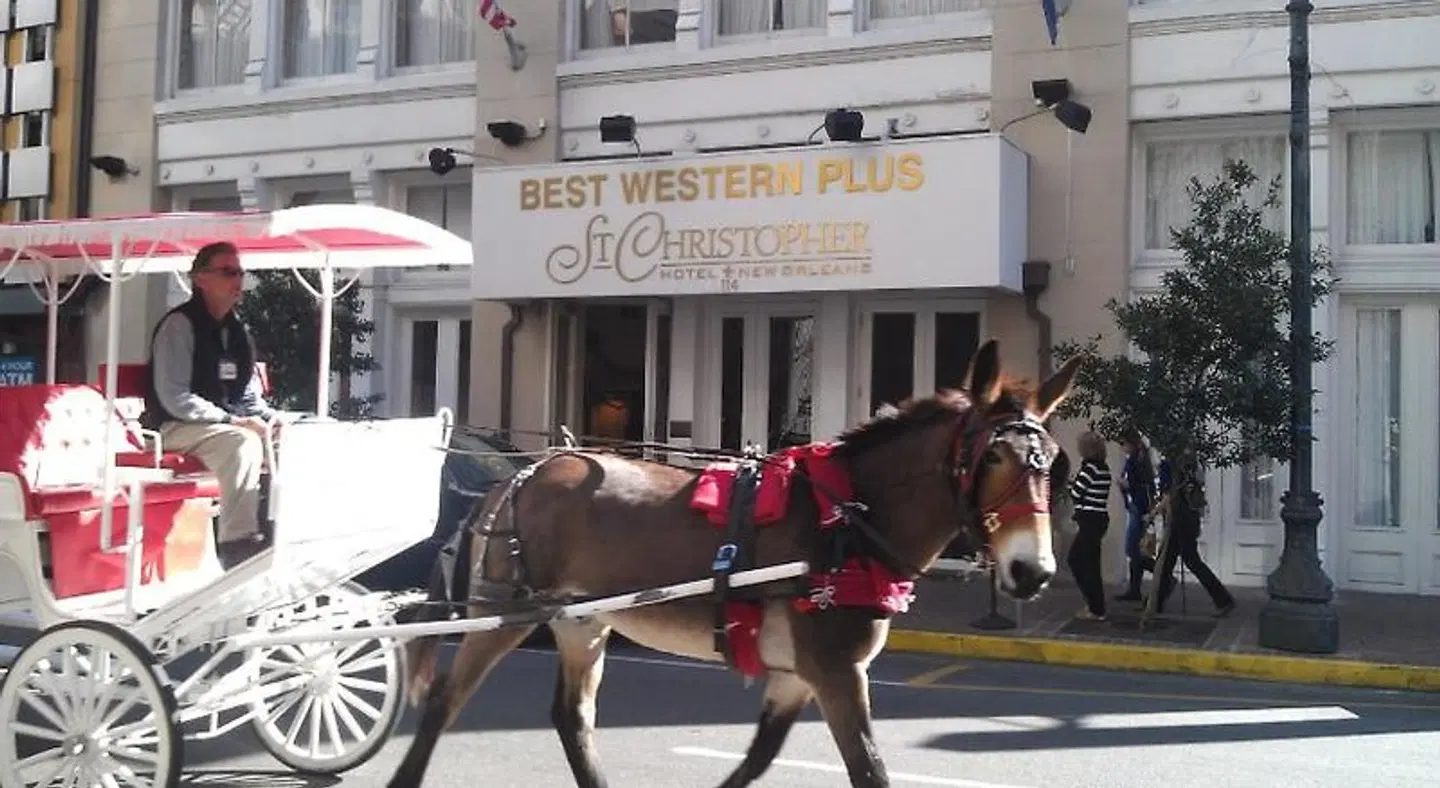 Best Western Plus St. Christopher Hotel SPORTS_AND_LEISURE