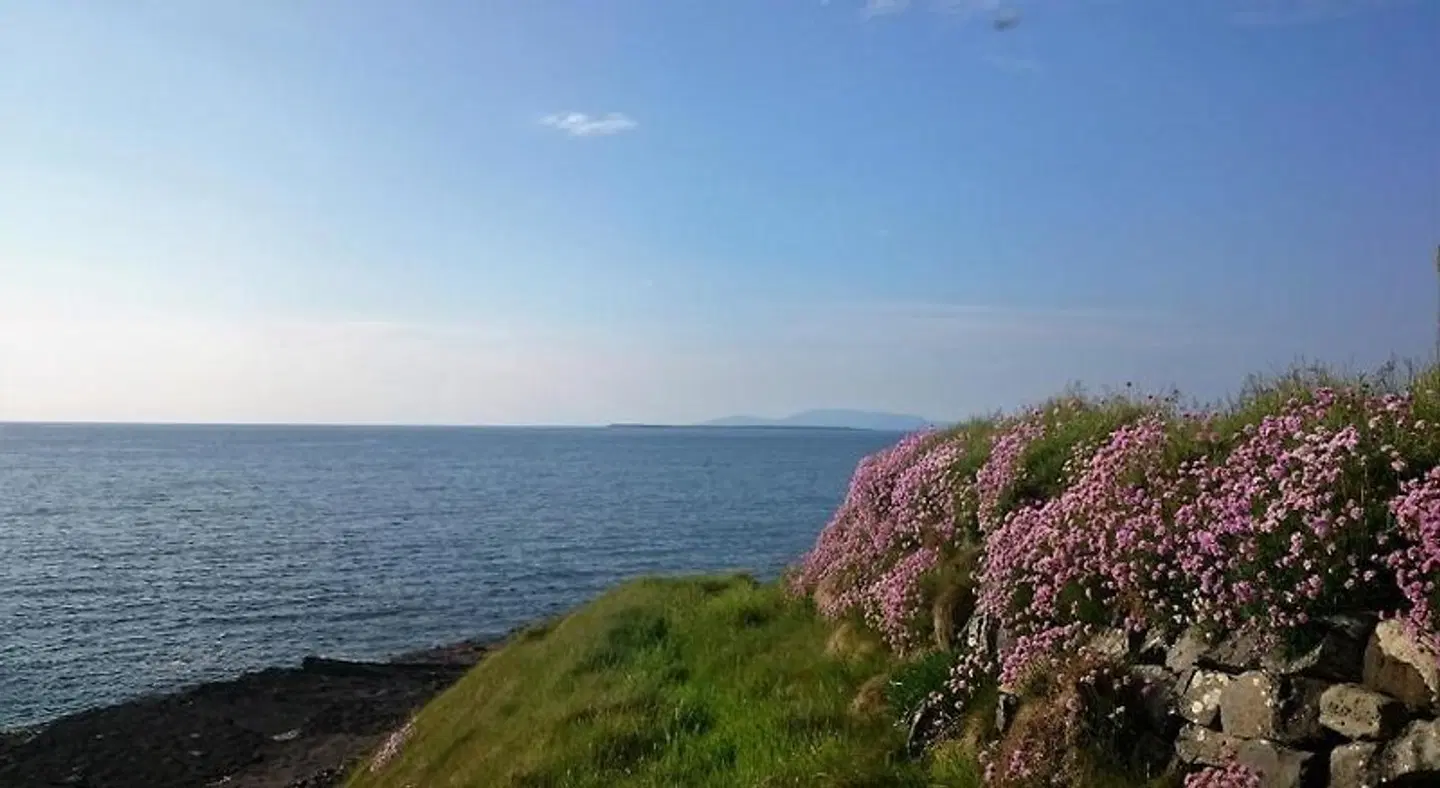 Ocean Heights B&B LANDSCAPE