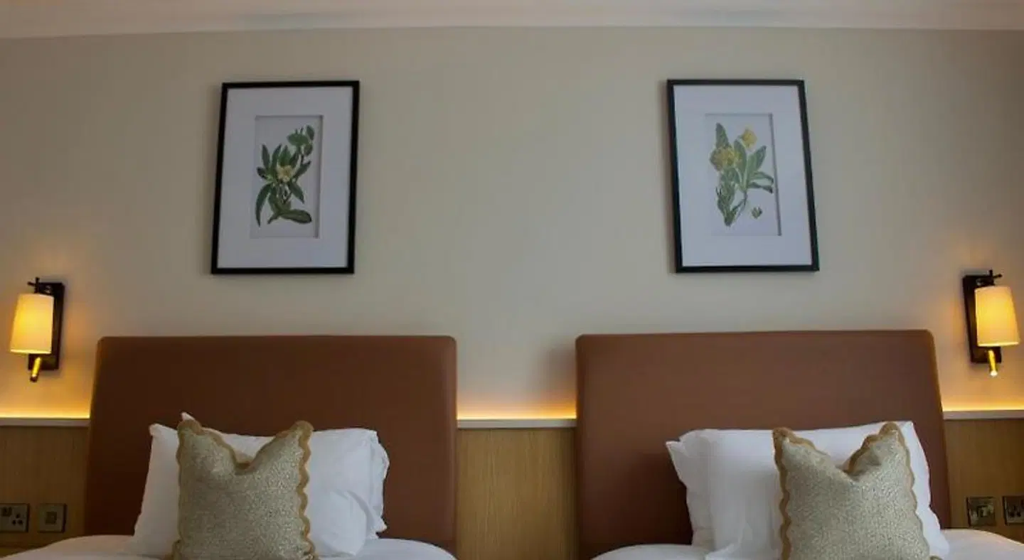 Twin Trees Hotel & Leisure Club ROOM_EXAMPLE