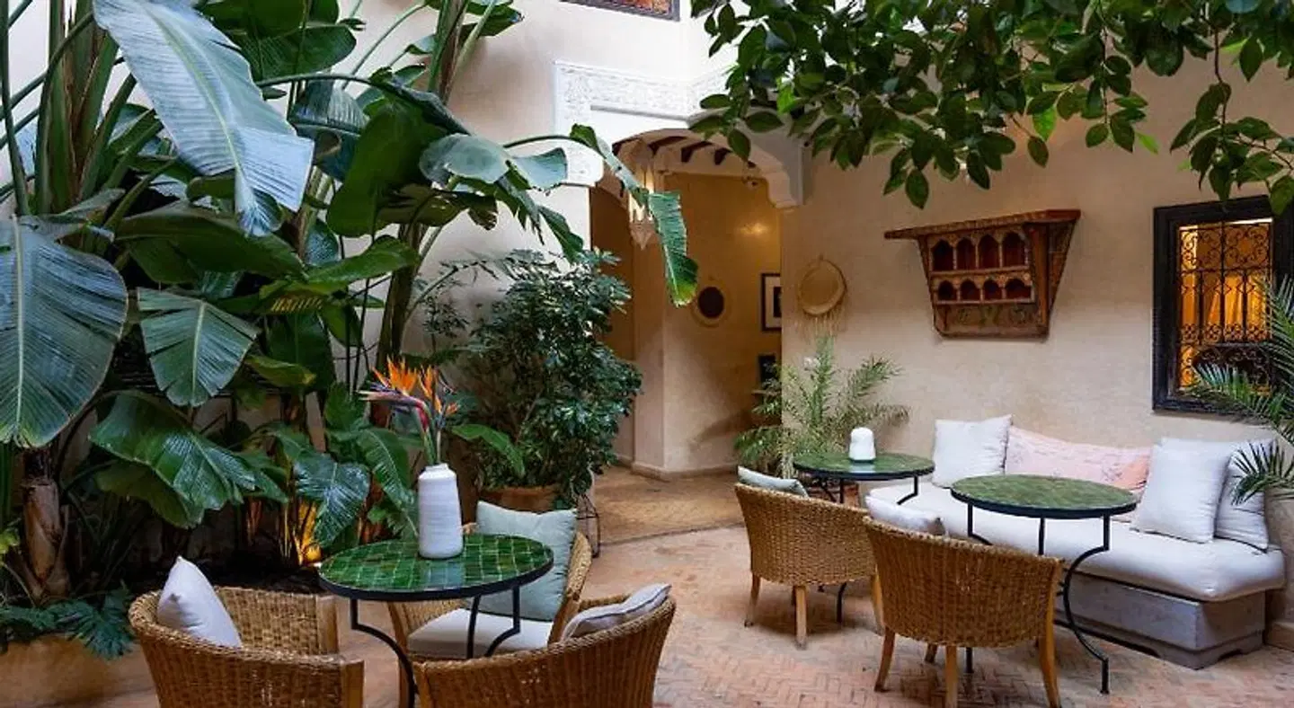 Riad l'Oiseau du Paradis Terrasse