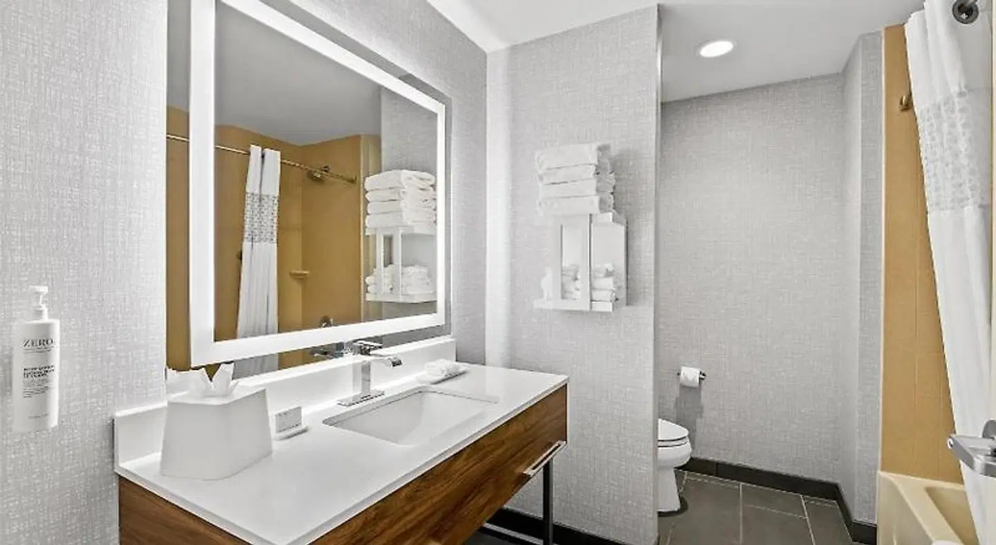 Hampton Inn Omaha/West Dodge Road (Old Mill) Badezimmer