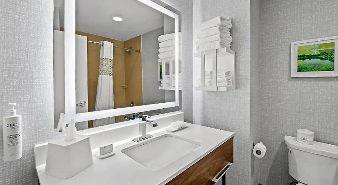 Hampton Inn Omaha/West Dodge Road (Old Mill) Badezimmer