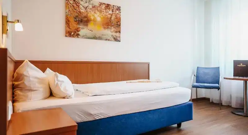 Goldener Pflug – Hotelfoto