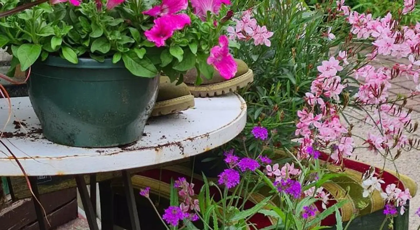 Zur Luppbode Garten
