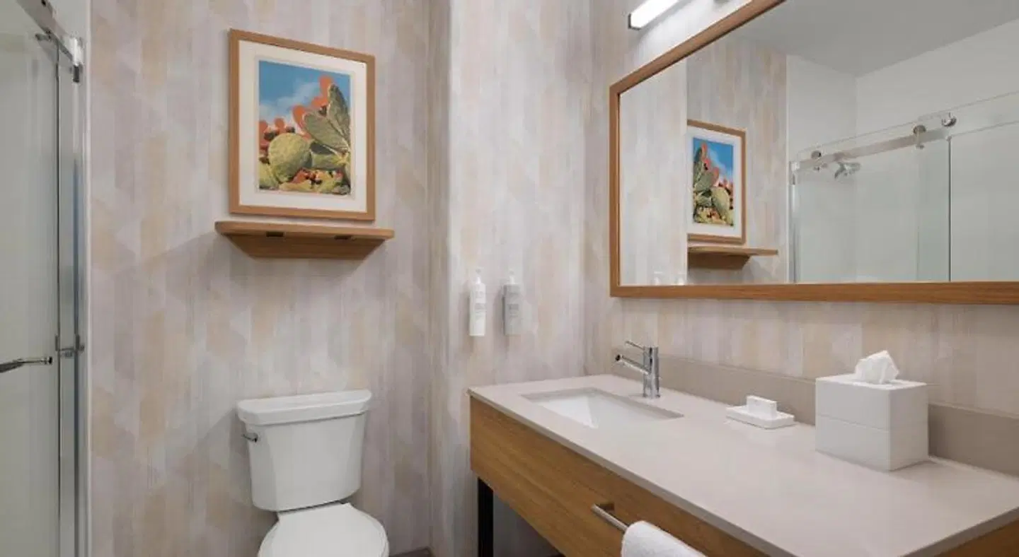 Hampton Inn & Suites Ontario Badezimmer