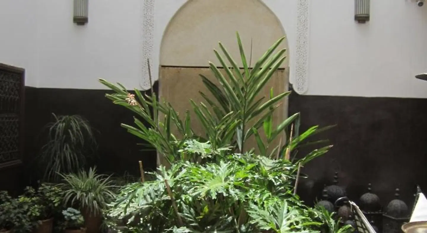 Riad Amin Garten