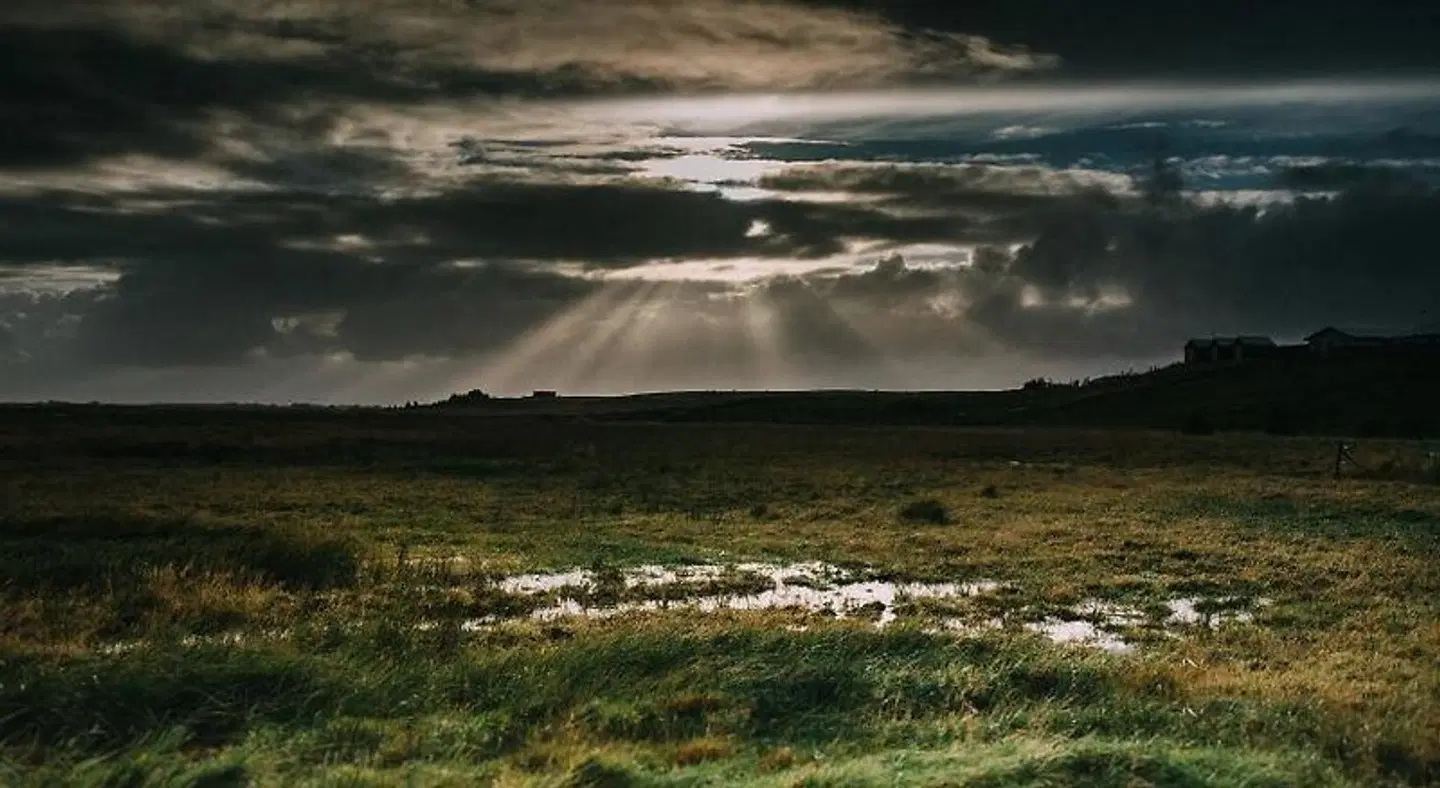 Vatnsholt - Guest House LANDSCAPE