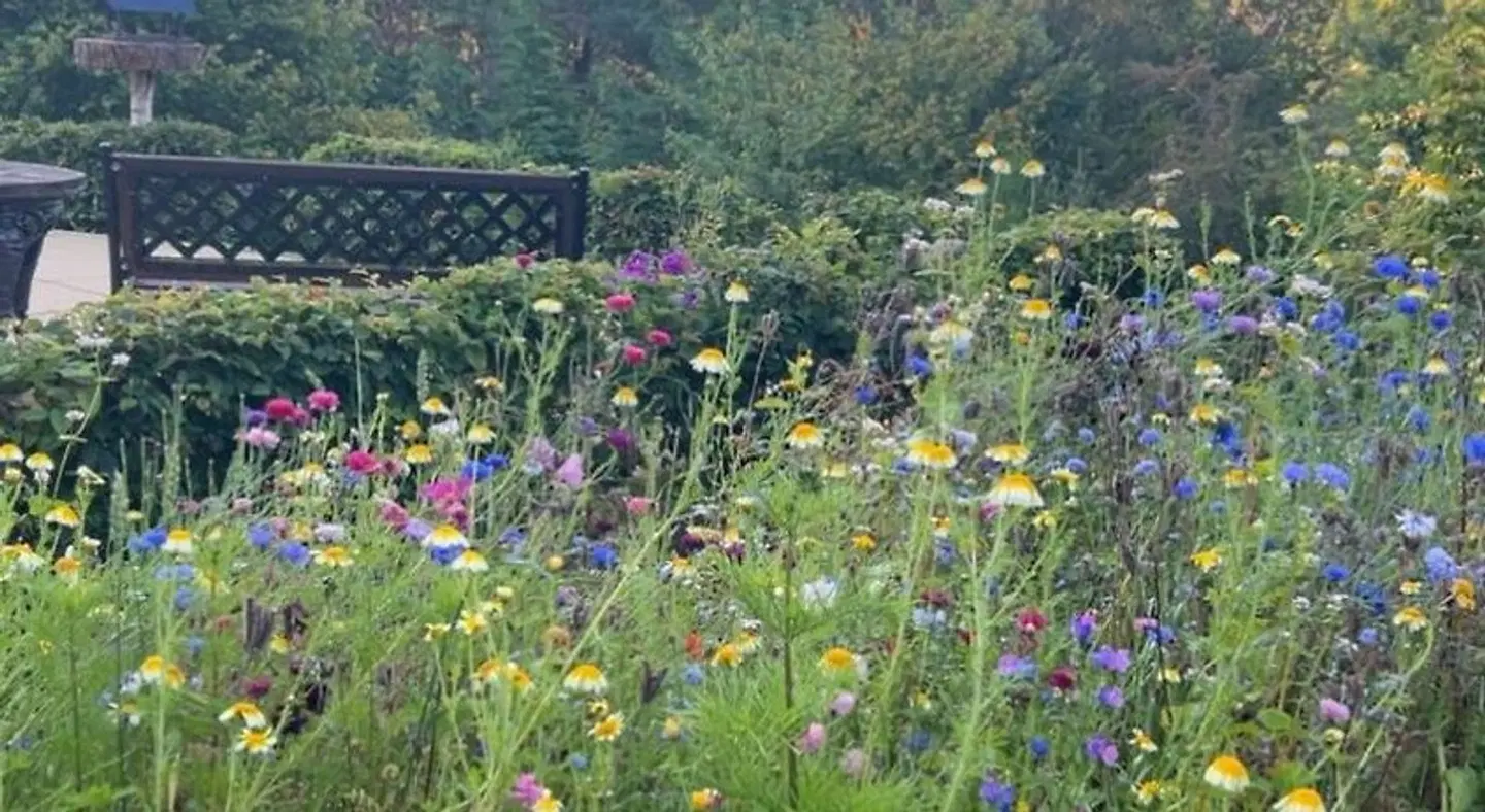 Braeburn Guest House Garten