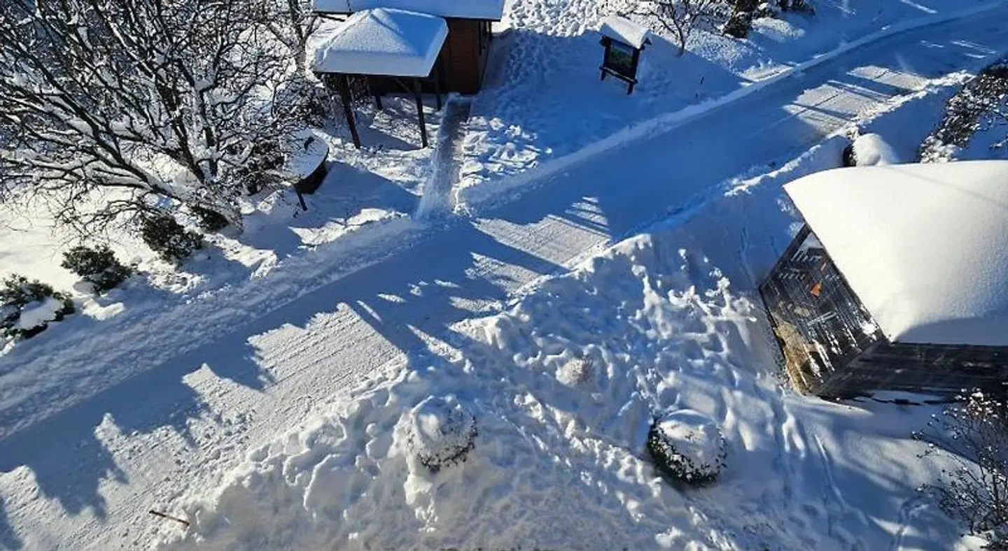 House Pavlic Tiere