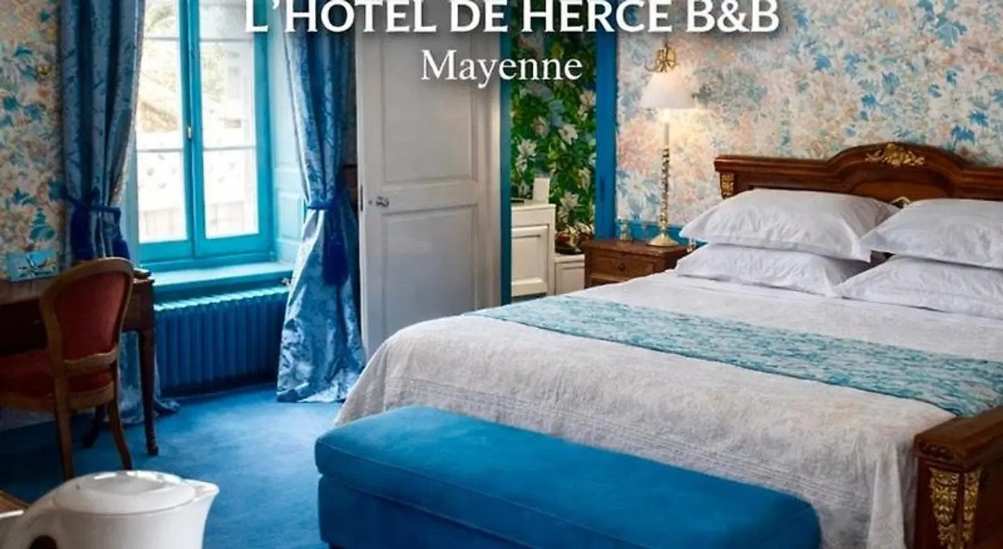 L'Hôtel De Hercé ROOM_EXAMPLE