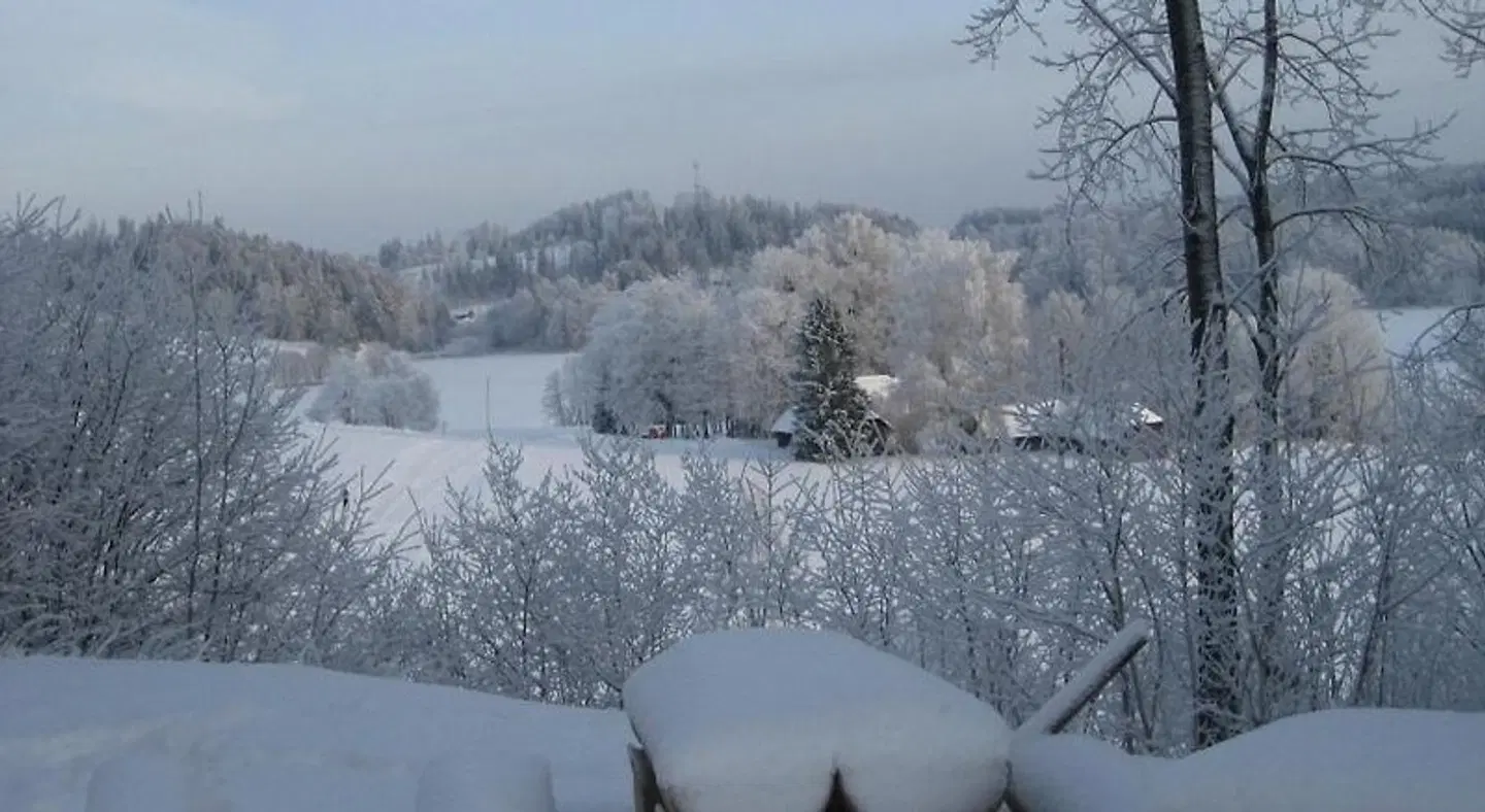 Küljemäe puhkemaja LANDSCAPE