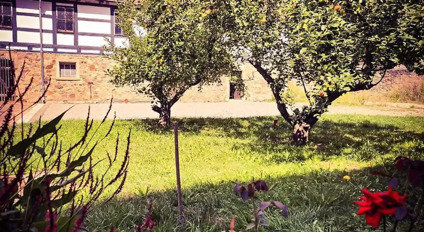 Pension Schwalbenhof Gestüt Bartos LANDSCAPE
