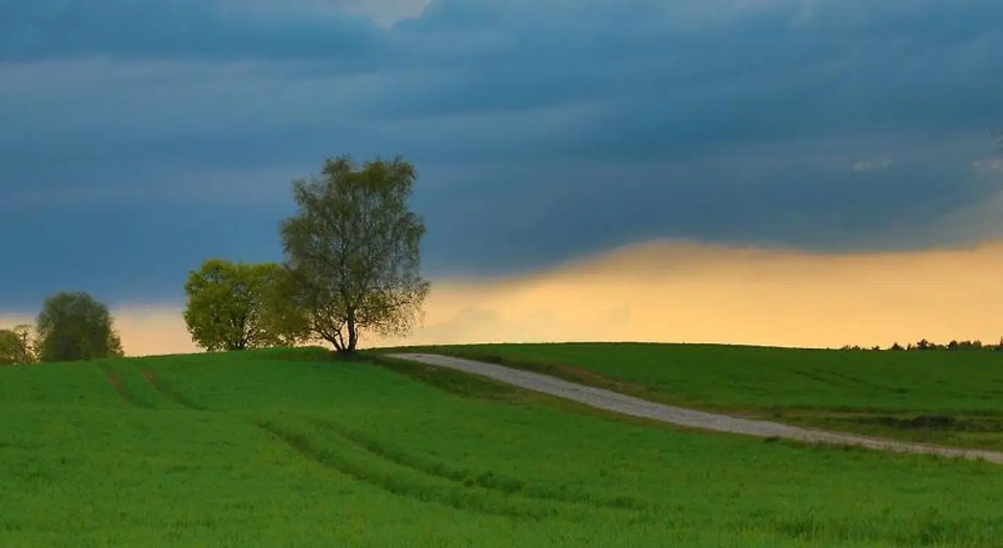 Stary M'yn Strzeszyn LANDSCAPE